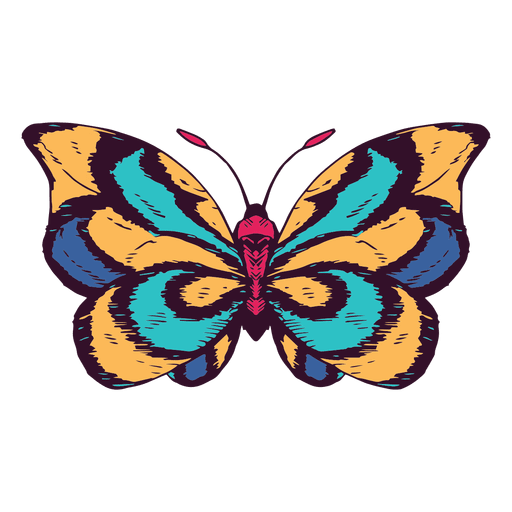 Butterfly illustration PNG Design