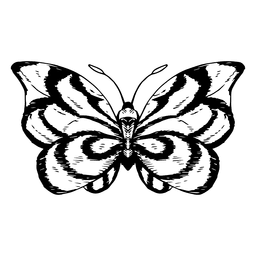Dibujo de mariposa Diseño PNG