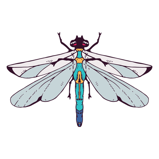 Ilustração de libélula Desenho PNG