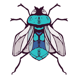 Fly illustration PNG Design