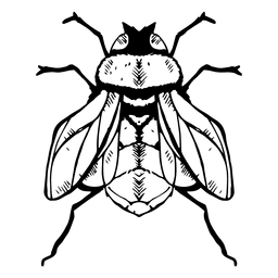 Carrera de la mosca Diseño PNG