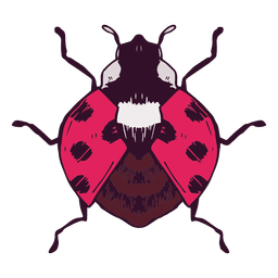 Ilustración de mariquita Diseño PNG