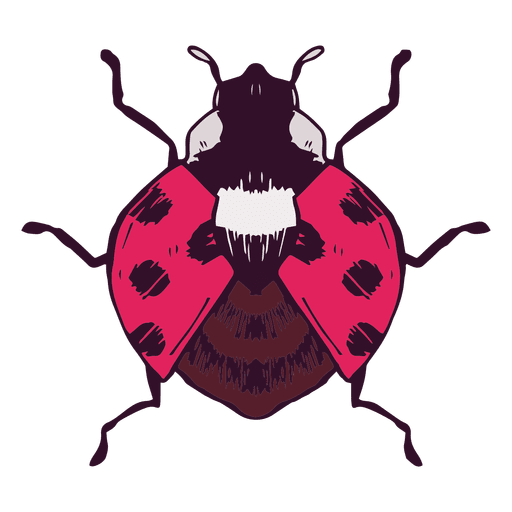 Ladybug illustration PNG Design