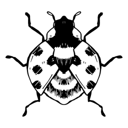 Ladybug stroke PNG Design