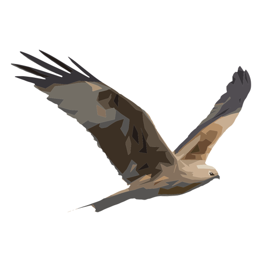 Ilustración de halcón Diseño PNG