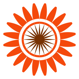 Plano aislado girasol cabeza clipart Diseño PNG