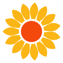 Vector de cabeza de girasol plana Diseño PNG