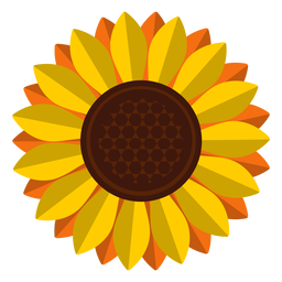 Clipart de cabeça de girassol isolado Desenho PNG