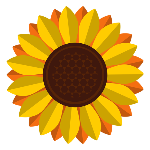 Isolated sunflower head clipart PNG Design