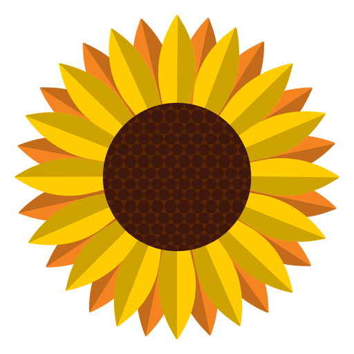 Isolated sunflower head graphic PNG Design