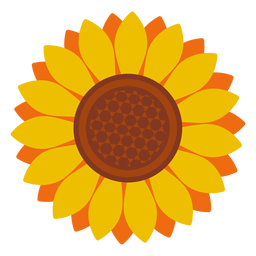 Download Set of sunflower illustrations - Vector download