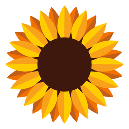Ilustración de cabeza de girasol aislado Diseño PNG