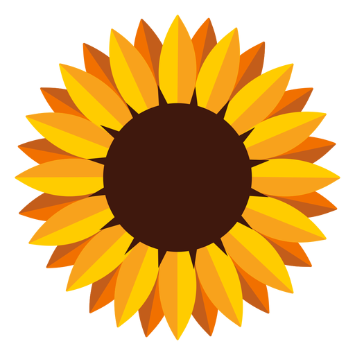 Download Isolated Sunflower Head Illustration Transparent Png Svg Vector File