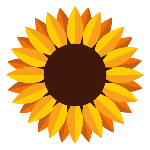 Isolated sunflower head illustration PNG Design