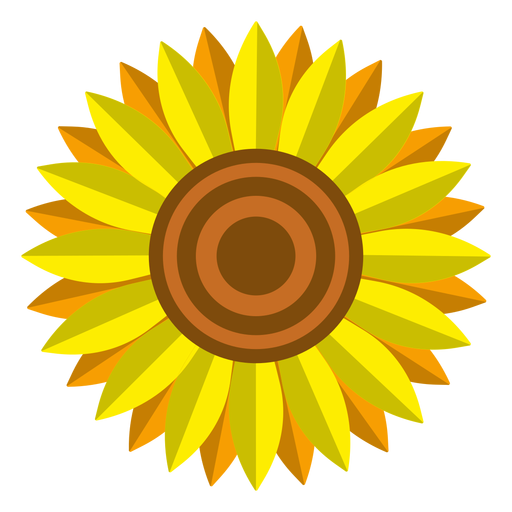 Isolierter Sonnenblumenkopfvektor PNG-Design