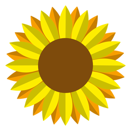 Gráfico vectorial de cabeza de girasol aislado Diseño PNG