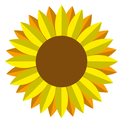 Isolated sunflower head vector graphic