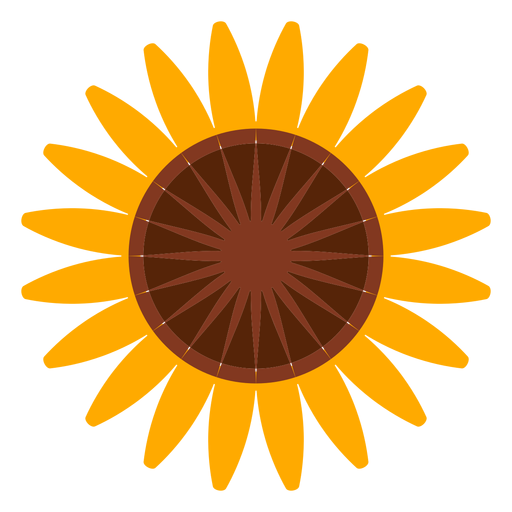 Sunflower head clipart PNG Design