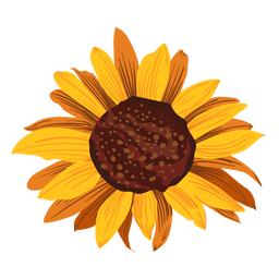 Sonnenblumenkopfzeichnung PNG-Design