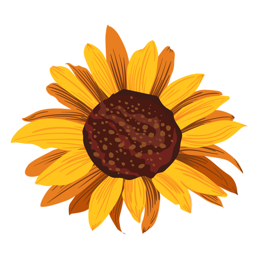 Sunflower head drawing PNG Design