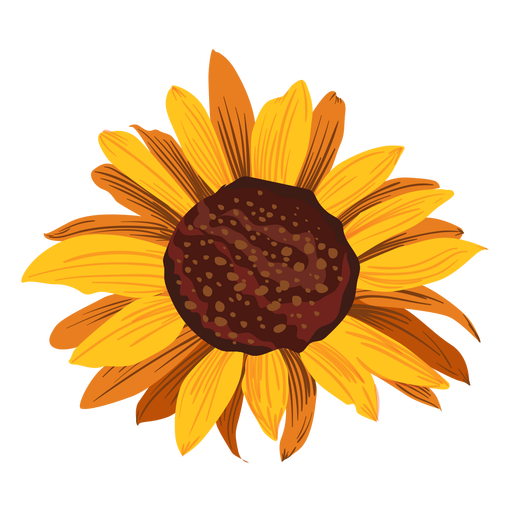 Sunflower Drawing PNG  Sunflower Drawing  CleanPNG  KissPNG