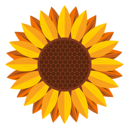 Gráfico de cabeza de girasol Diseño PNG