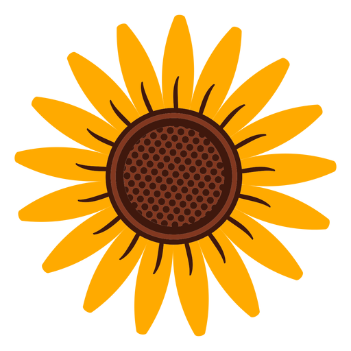 2223334adc70d13bd03408c46d1bf3f3 sunflower head illustration by vexels