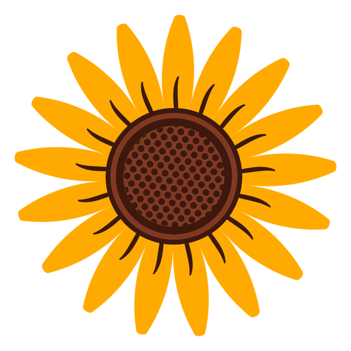 Sunflower head illustration PNG Design