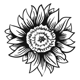 Golpe de cabeza de girasol Diseño PNG