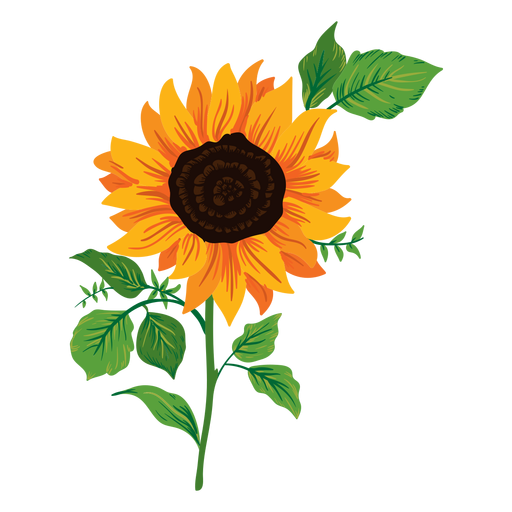 Free Free 54 Transparent Sunflower Svg Free SVG PNG EPS DXF File