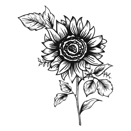 Sonnenblumenstrichsymbol PNG-Design