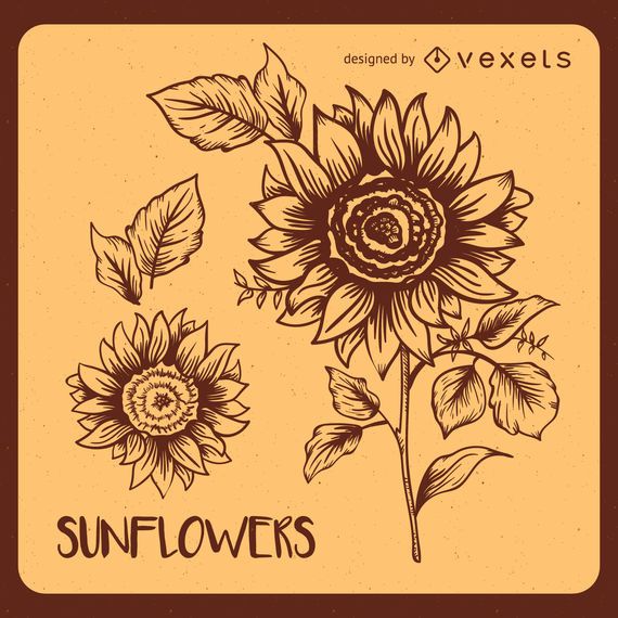 Retro sunflower illustrations Retro sunflower illustrations