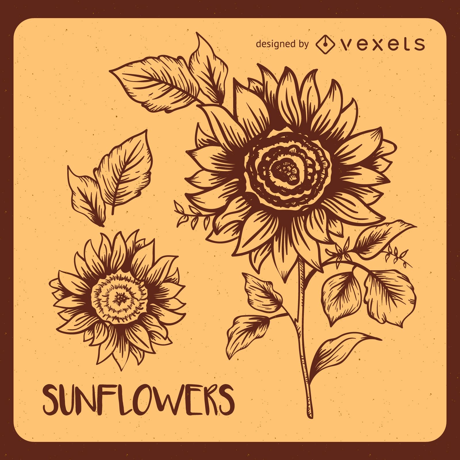 Retro Sonnenblumenillustrationen