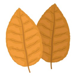 Ilustración de hojas de tabaco amarillo Transparent PNG