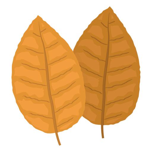 Yellow tobacco leaves illustration PNG Design