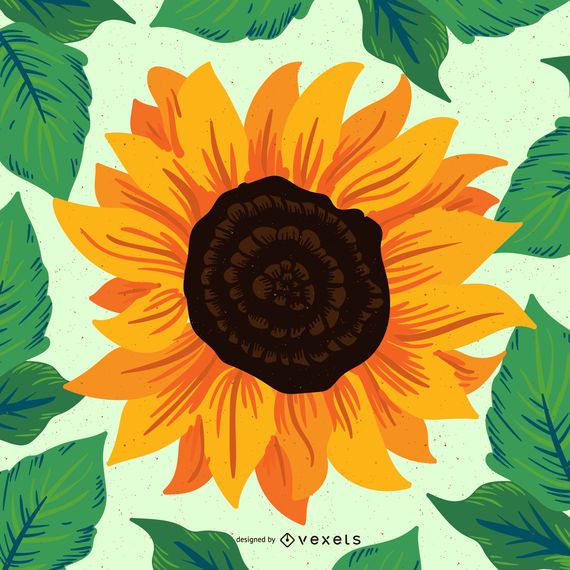 Hand drawn sunflower illustration Hand drawn sunflower illustration