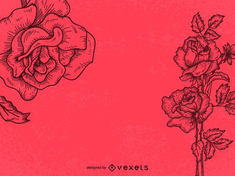 Rosen Linie Kunst Illustration Rosen Linie Kunst Illustration