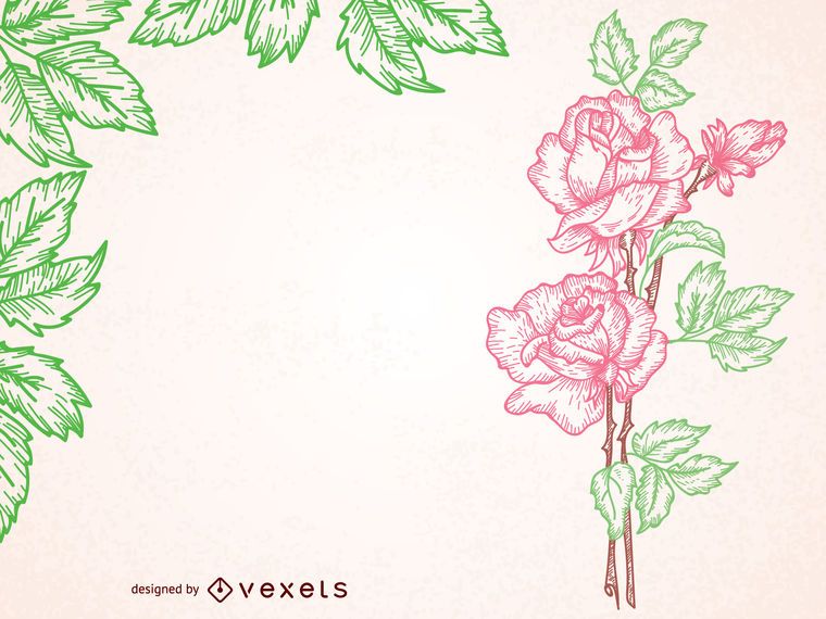 Marco ilustrado rosa vintage Marco ilustrado rosa vintage