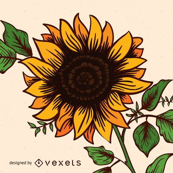 Linda ilustración de girasol Linda ilustración de girasol
