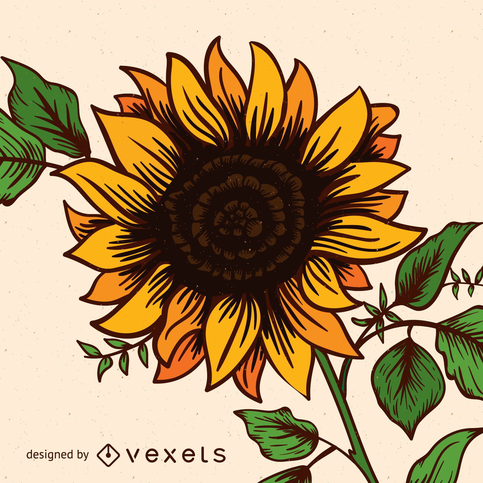 Cute sunflower illustration