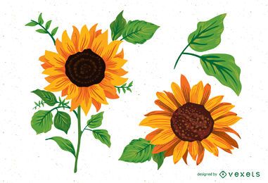 Sunflower illustrations pack