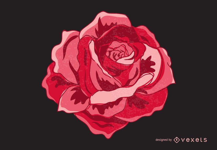 Vintage aislado ilustración rosa Vintage aislado ilustración rosa