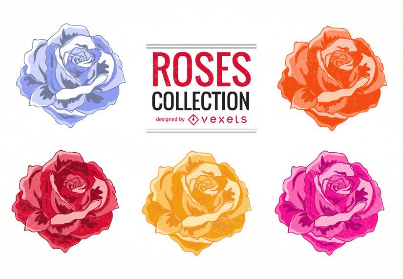 Conjunto de ilustración de rosas coloridas Conjunto de ilustración de rosas coloridas