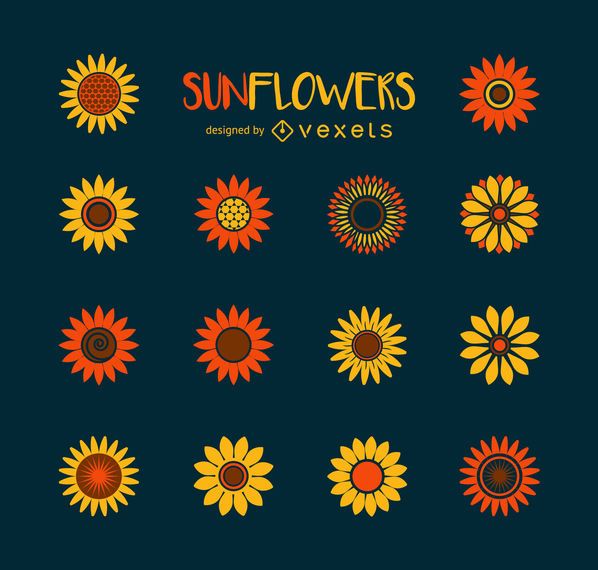 Minimalist sunflower illustration collection Minimalist sunflower illustration collection