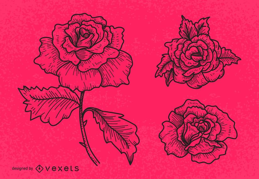 Línea arte rosa conjunto de ilustración Línea arte rosa conjunto de ilustración