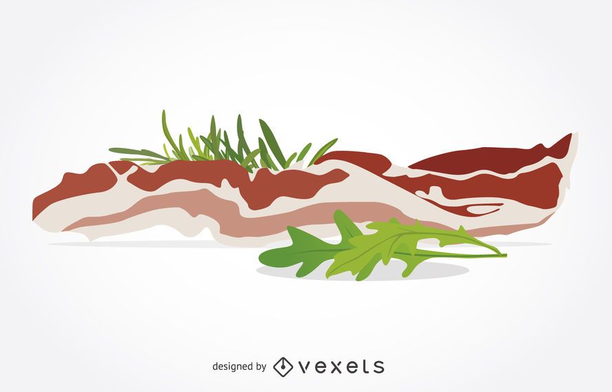 Bacon illustration Bacon illustration