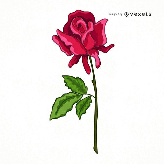cute hand drawn rose illustration vector download drawn rose