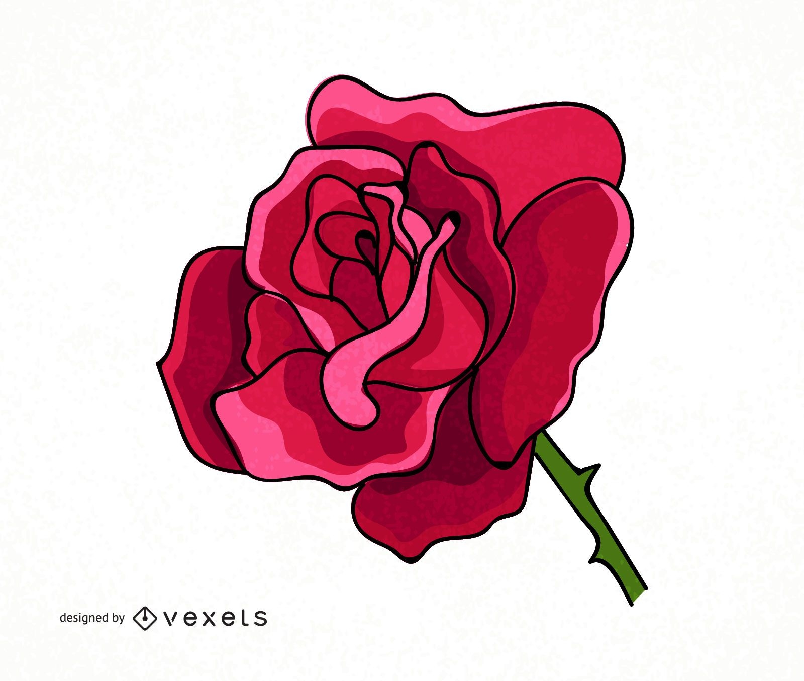 Big rose illustration