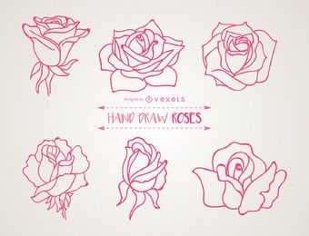 Conjunto de ilustrações de rosas desenhadas à mão