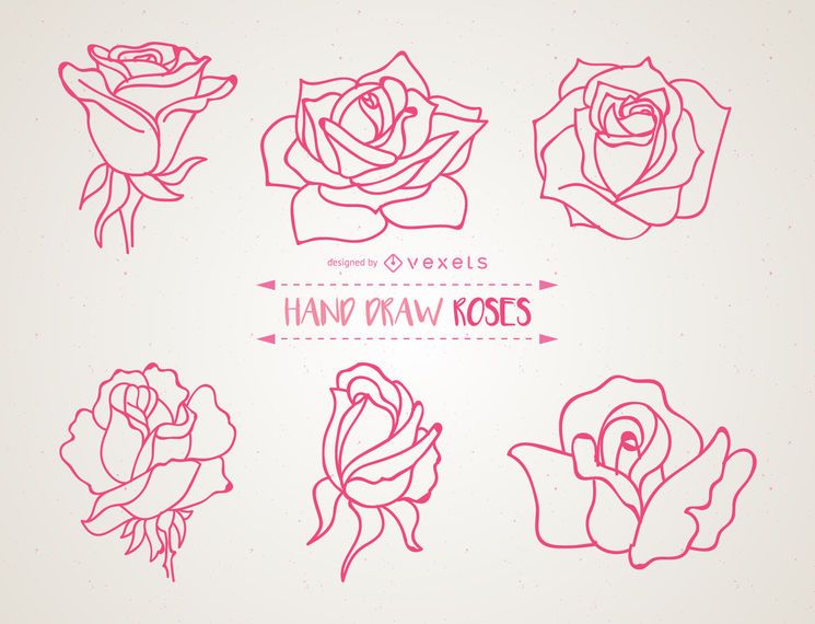 Conjunto de ilustrações de rosas de mão desenhada Conjunto de ilustrações de rosas de mão desenhada